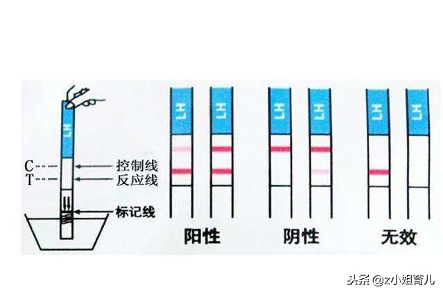 备孕没成功要去做什么检查,备孕没成功应该做什么检查