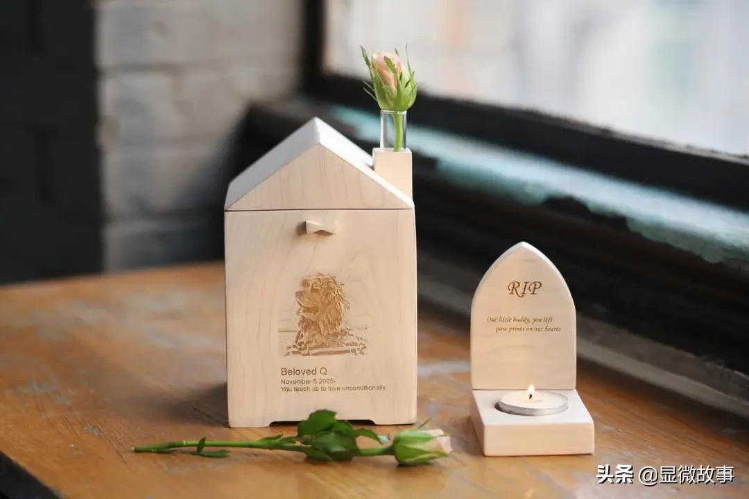 揭秘宠物殡葬：我设计了6487个骨灰盒，只为了帮它体面离开