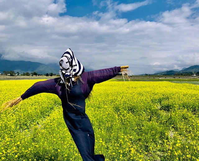 骑行台北到高雄多少公里,台北骑行到高雄