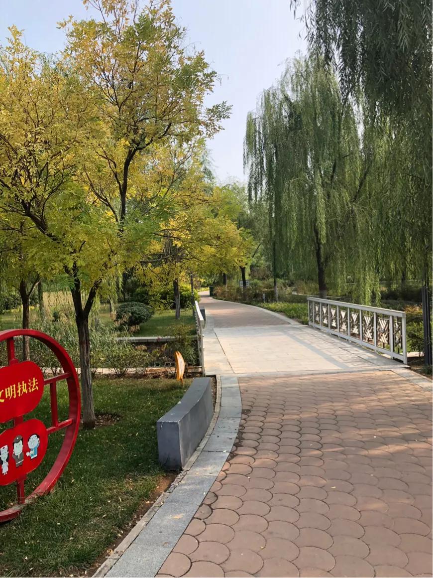 郑州市莲花公园,郑州池南路莲花公园