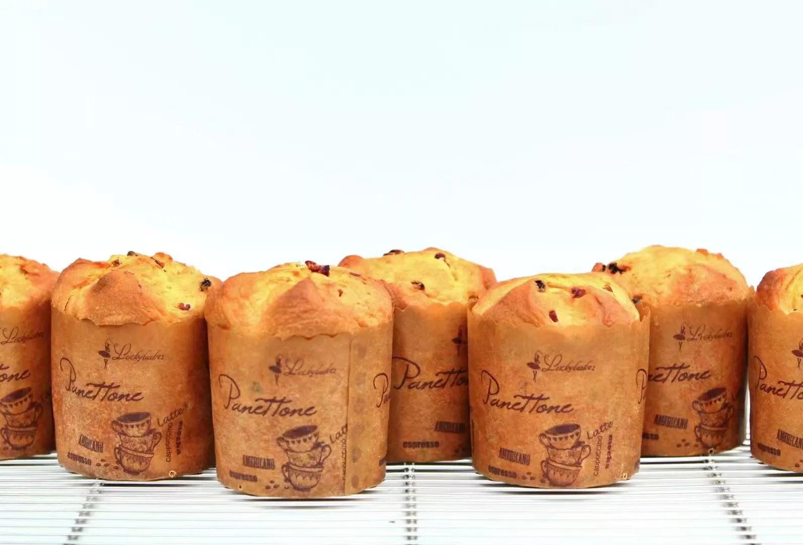 五年级上册lesson29,五年级lesson11