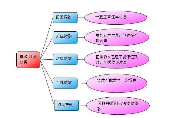 征信中五级分类次类代表什么,征信管理类贷款