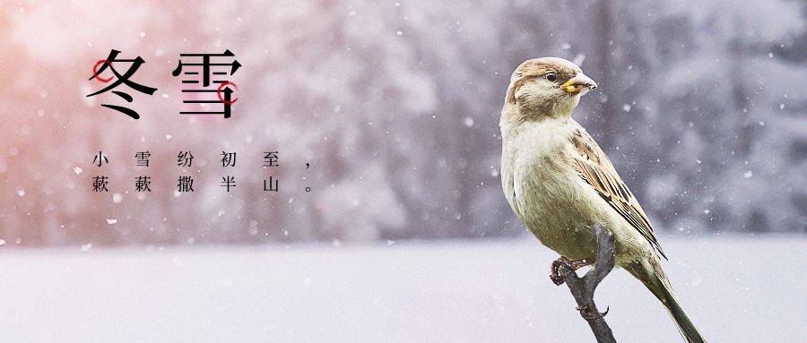 描写雪的诗句大全千树万树梨花开,描写冬天雪景诗句大漠沙如雪