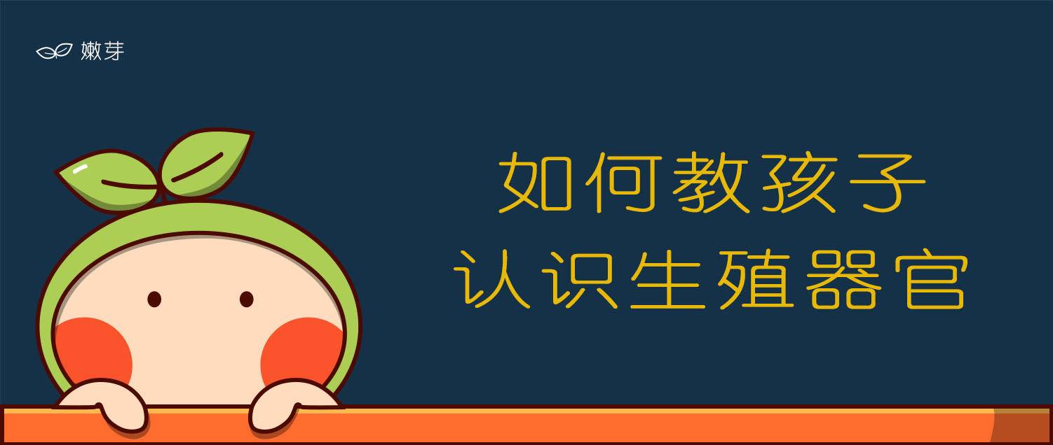如何教孩子认识器官,如何教孩子认识器官性别