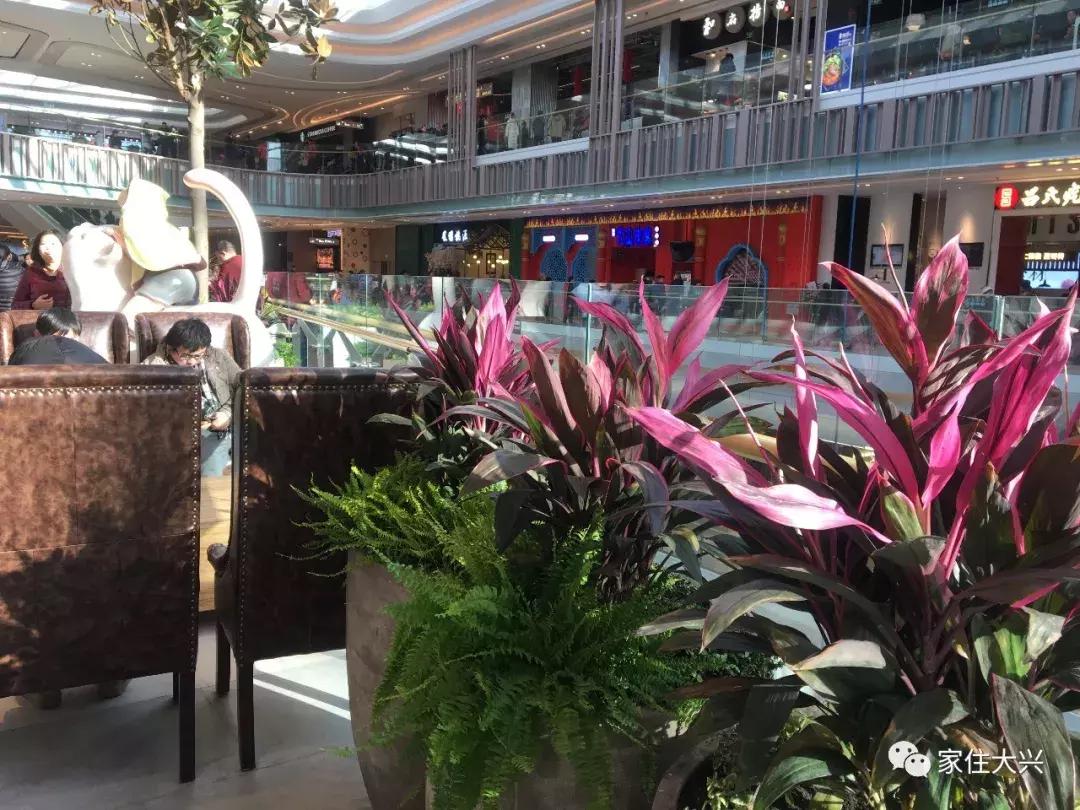 大兴凯德mall最近活动,大兴凯德mall商场