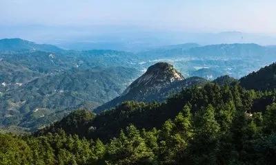 湖南岳阳排行榜前十名,湖南岳阳全国百强排名