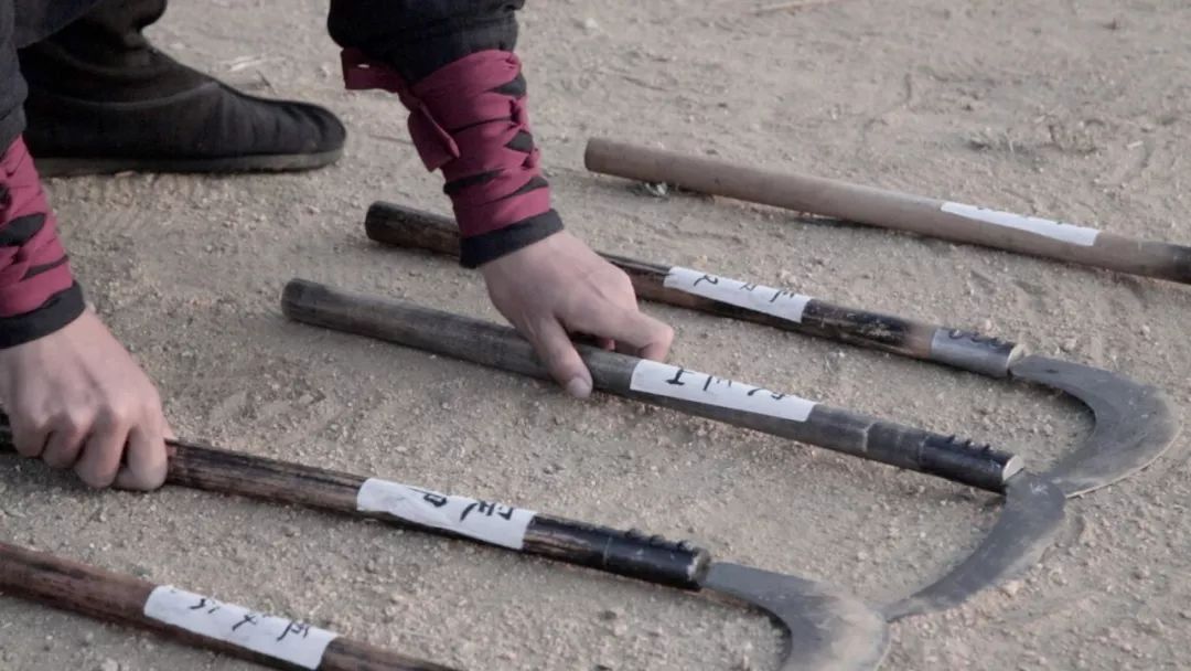 央视重口法医纪录片,网友直呼看不过瘾