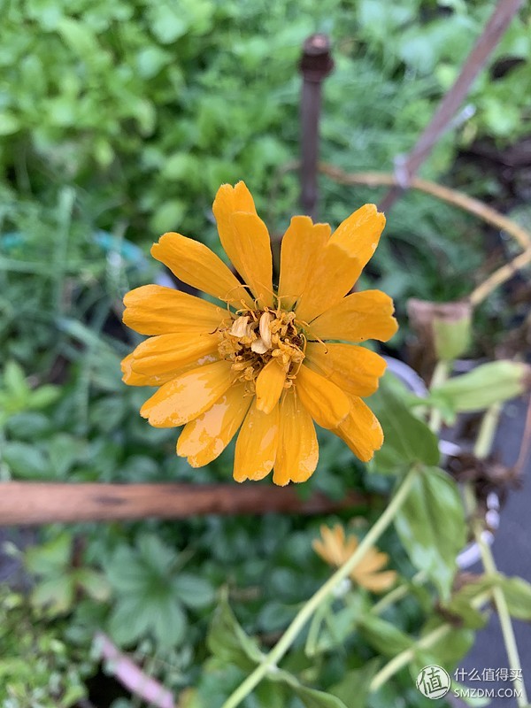 苹果iphonexr2019测评,苹果官网iphonexr开箱