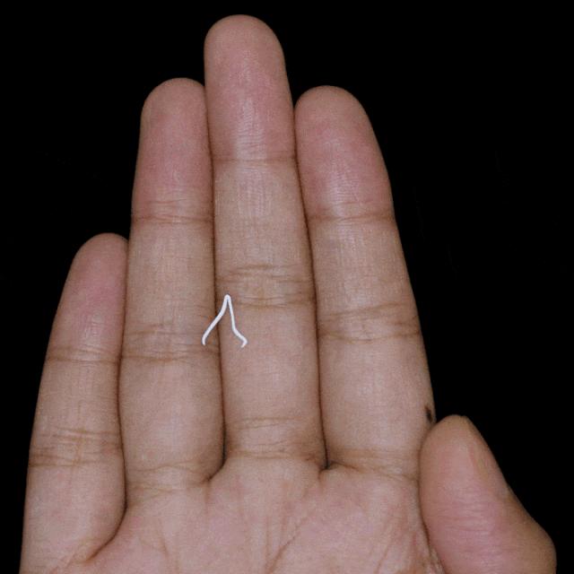 手掌画创意剪纸,手掌画剪纸三年级