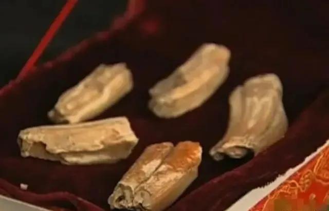 老人说见过龙,老人说看见龙是真的吗