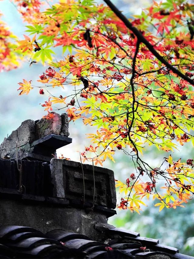 一到秋天南京就成了金陵,一入秋南京就成了金陵