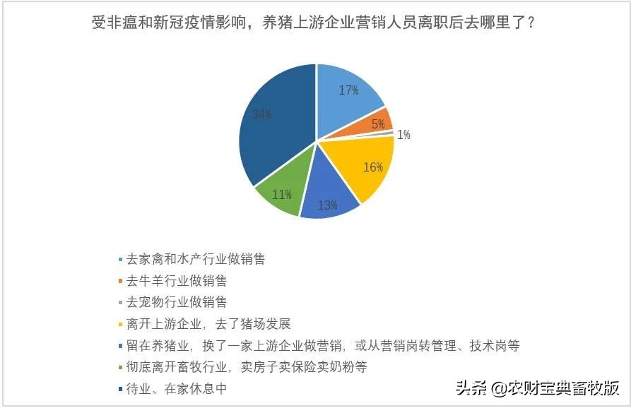 双疫夹击，16%的饲料动保营销人员原来都去了待遇颇丰的养猪场！‖礼蓝特约•猪业痛点