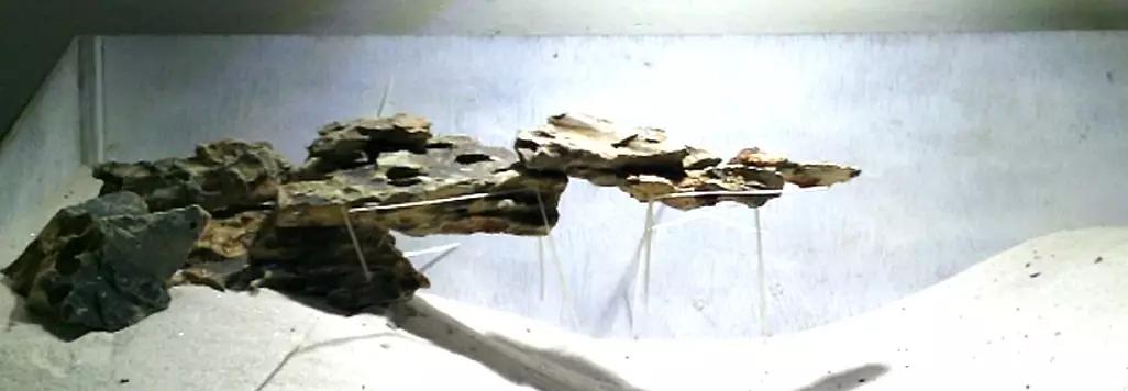 草缸造景教程:胶水造景太温柔,男人就该上电钻