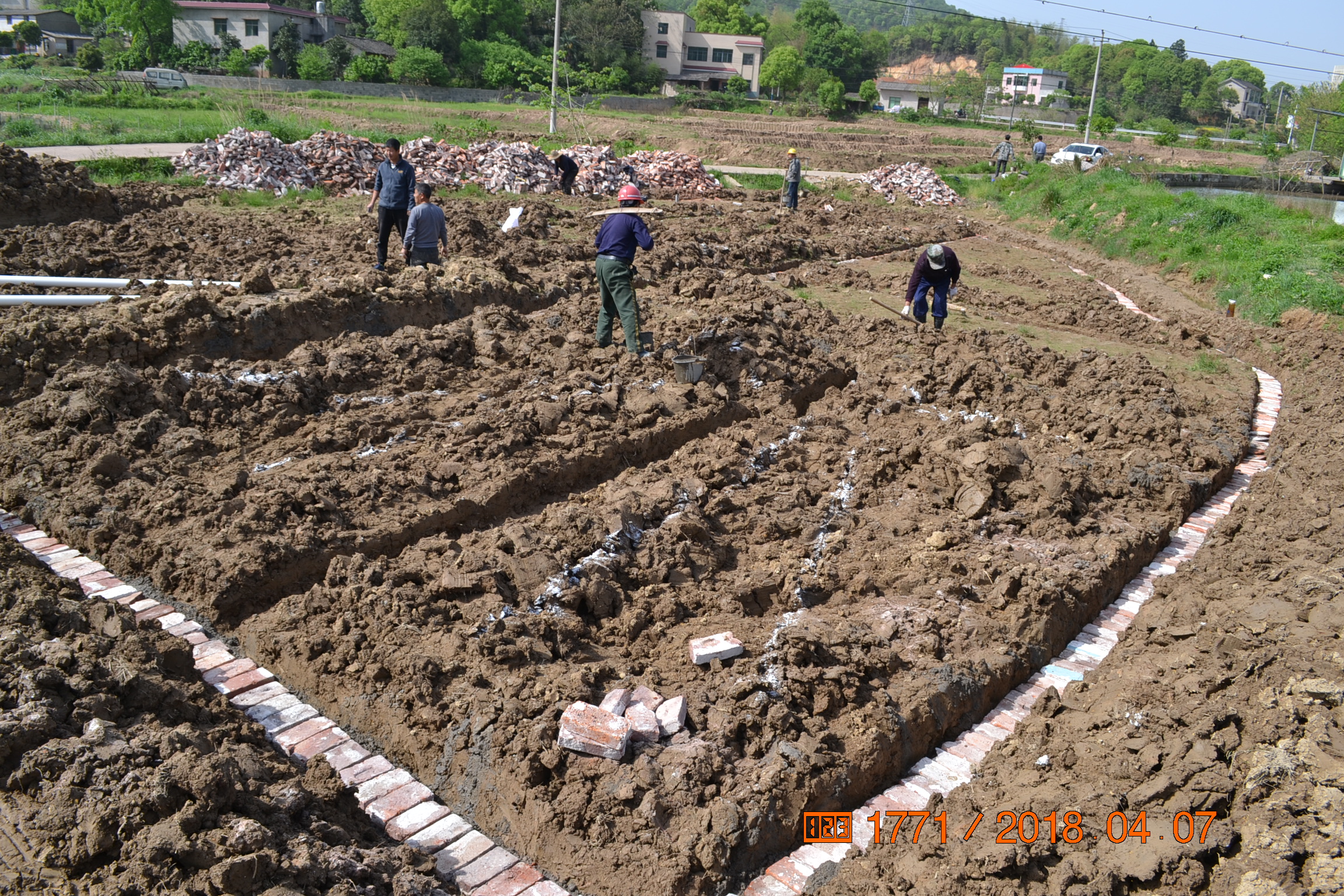 湖南最好的锦鲤养殖基地,湘潭锦鲤养殖