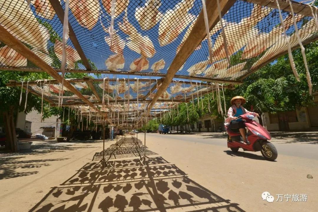 万宁港北港吃海鲜哪里好,渔村风情完整版