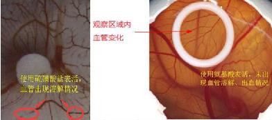 洗发水买无硅油的还是含硅油的,无硅油洗发水好还是有硅油的好