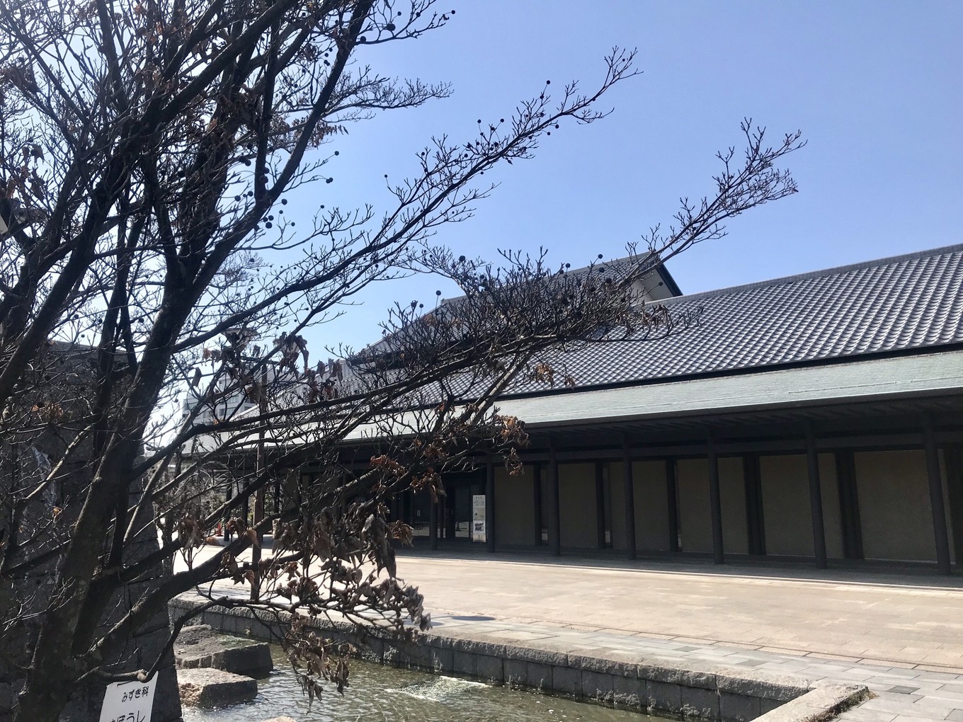 青春18旅游通票怎么买,坐jr游日本