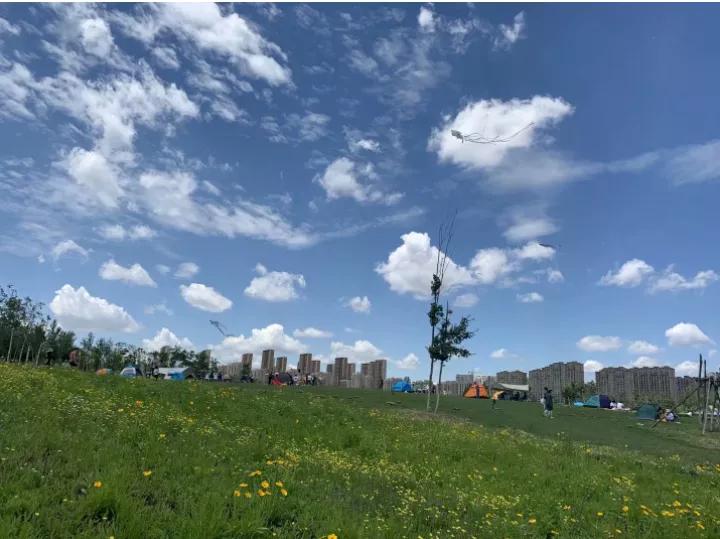 甲癌术后10年与病友分享,甲友心声最新消息