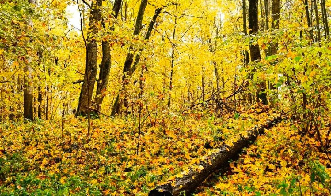 濡堝鐨勭溂鐫涘湪鍝噷,濡堝鐨勭溂闀滀笉瑙佷簡