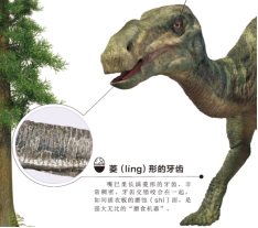 关于恐龙的儿童科普书籍,为什么孩子会喜欢看有关恐龙的书