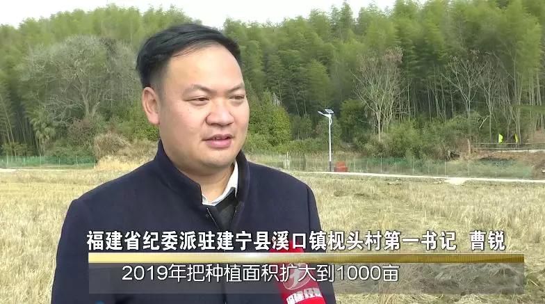 丰收土豆节,丰收节土豆