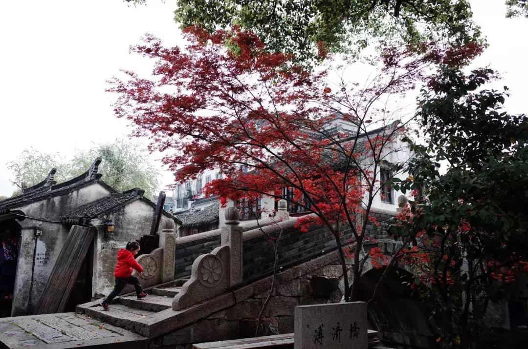 中国最富有的县有哪几个,中国最富有的地级市是哪里