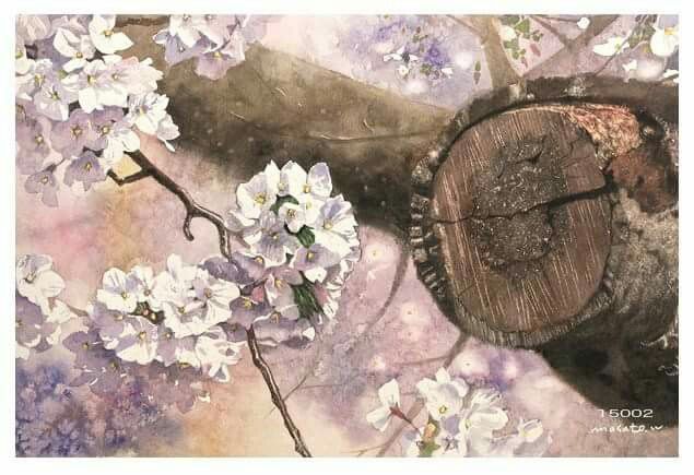 水彩樱花之境,日本水彩樱花