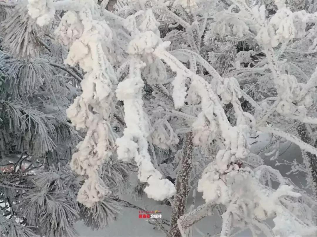 此刻泰山成了雪国,美到无言!高清美图来袭,“雪国的列车”即刻发车!