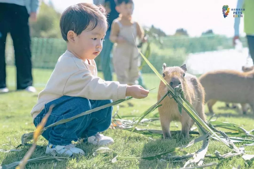 2021古滇星光跨年音乐嘉年华,昆明跨年古滇七彩云南欢乐世界