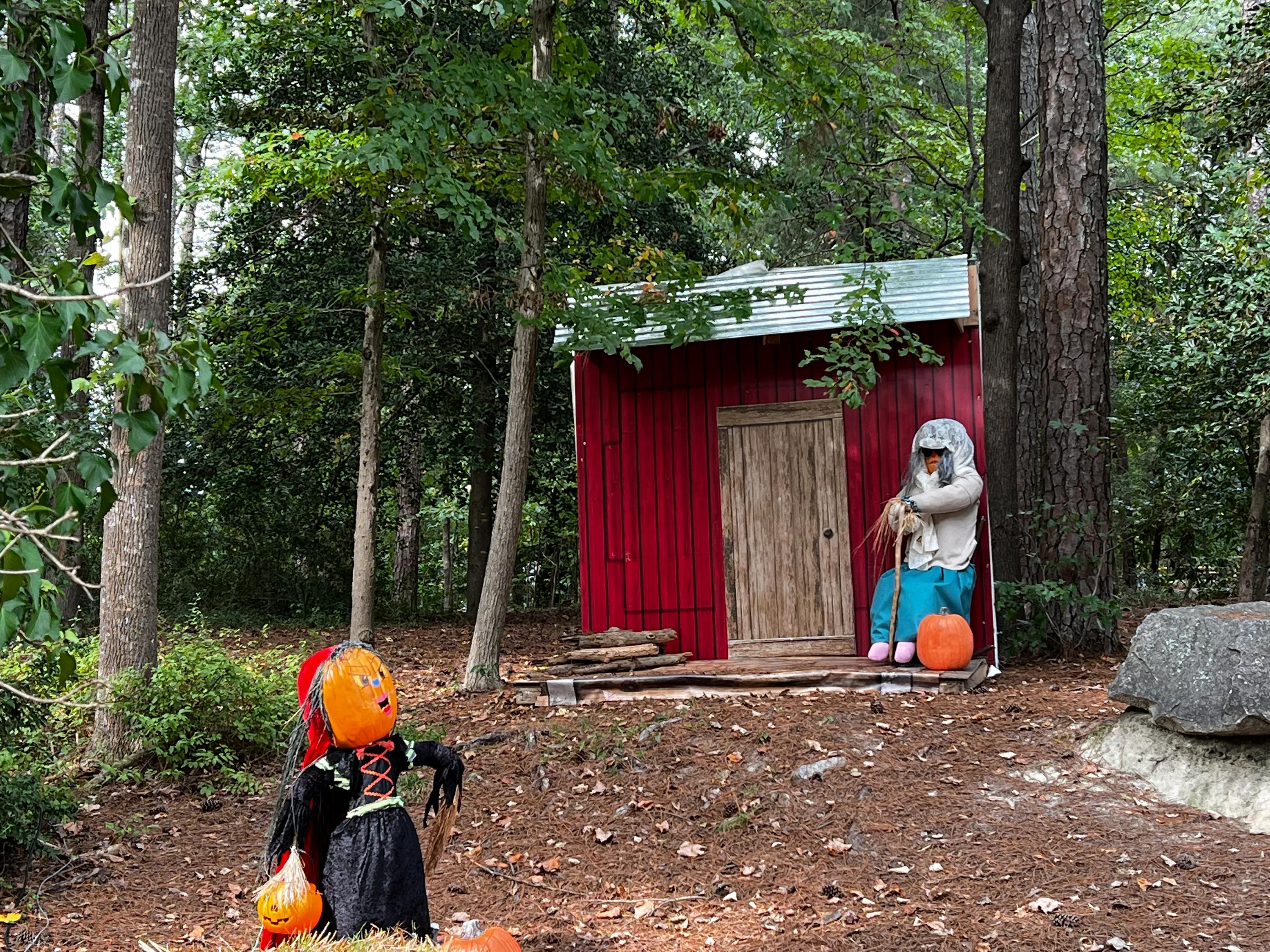 纽约南瓜灯展,美国南瓜灯展