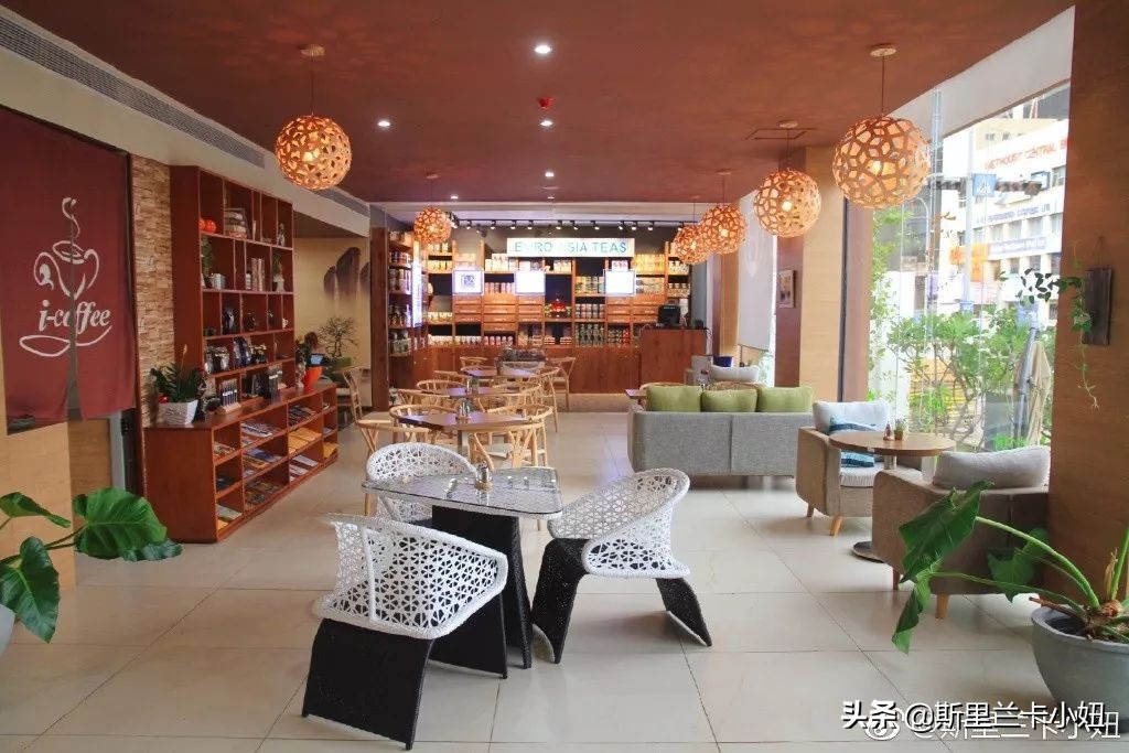 科伦坡淡山茱萸粉ins风酒店:清新艺术气质流行色不仅穿身上