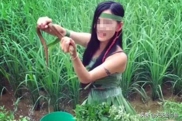 黄鳝钓法详细步骤,野生黄鳝钓鲤鱼