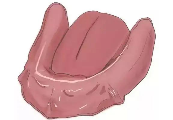 传统的种植牙和即刻种牙的区别,什么是种牙方法