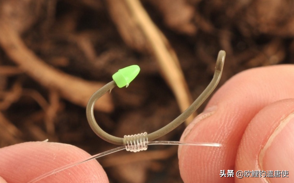 欧鲤钓钓组篇,欧鲤钓组和飞德钓组