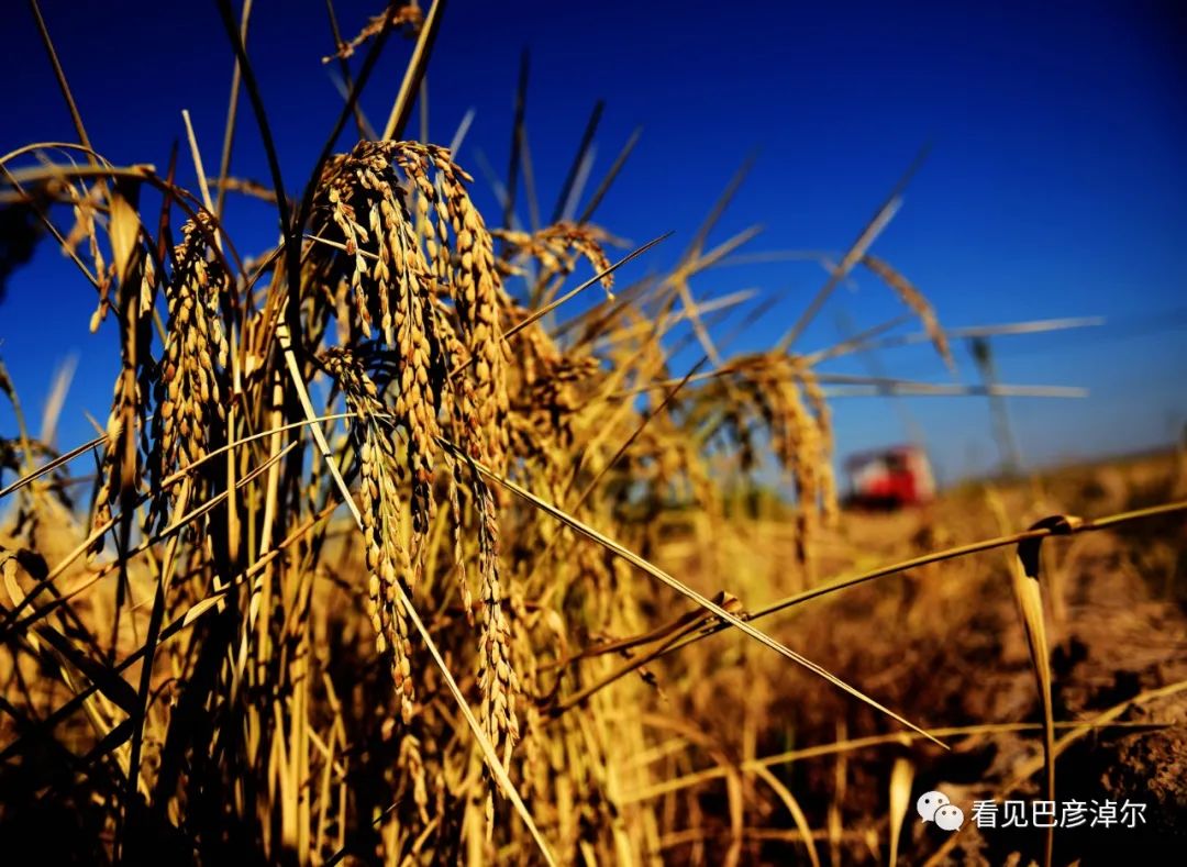 来认识一个不一样的我翻译,来认识不一样的滑雪