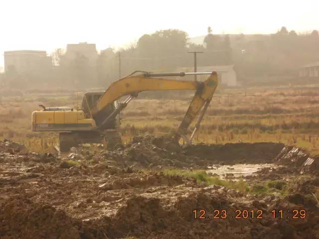 湖南最好的锦鲤养殖基地,湘潭锦鲤养殖