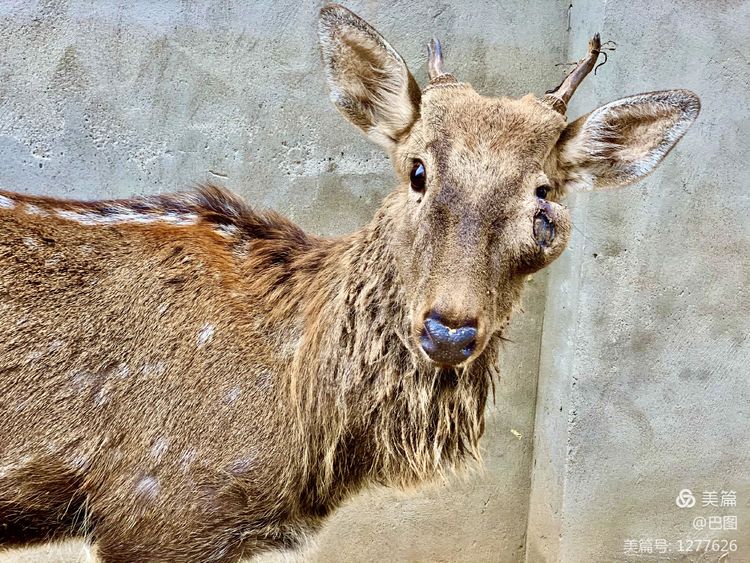 洛阳市宜阳凤凰岭射箭,宜阳县凤凰岭体育基地