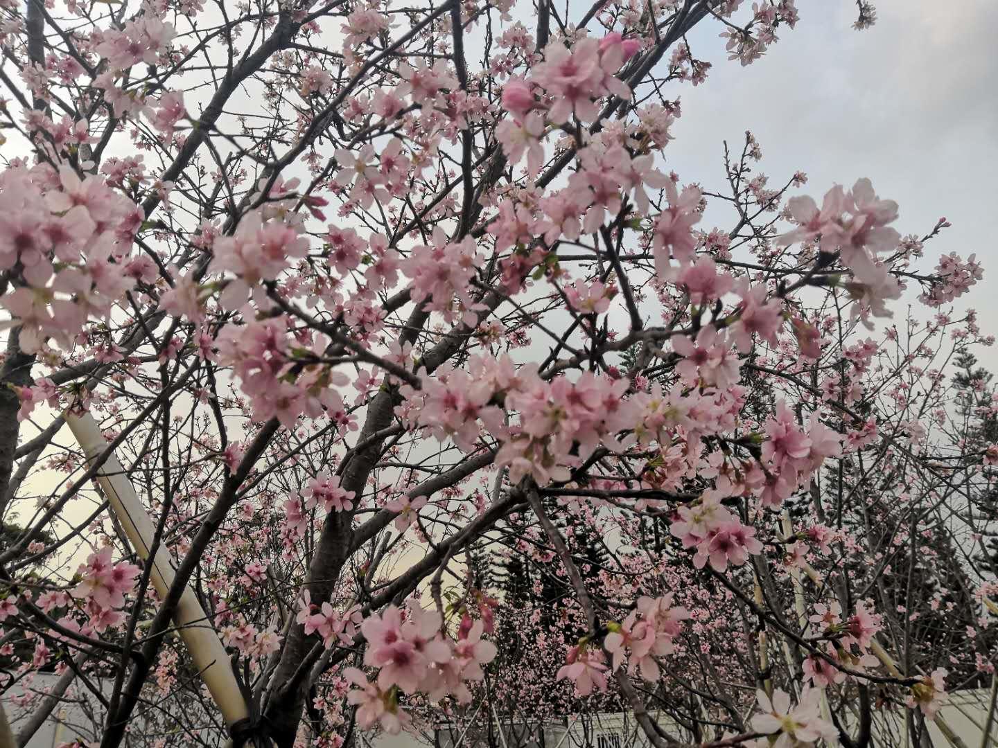 富士康真的没有加班了吗,富士康现在还有加班吗