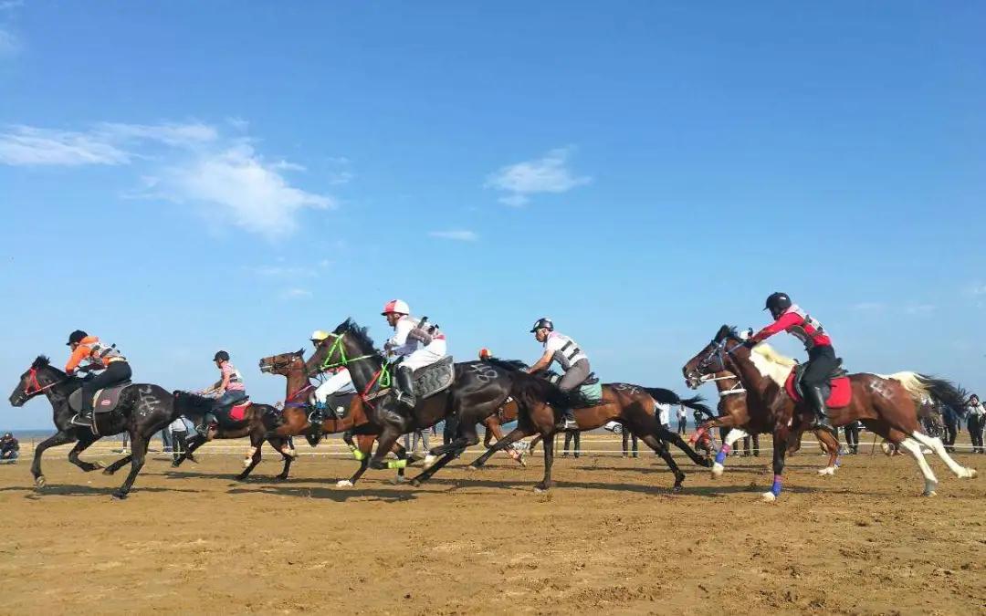 青岛海边遛娃免费十佳去处,青岛夏季遛娃