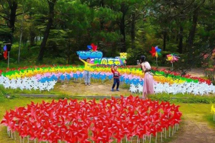 风车谷旅游区门票团购,风车门票9.9