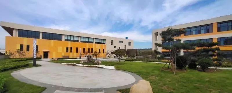 高颜值公立学校,威海没有压力的学校