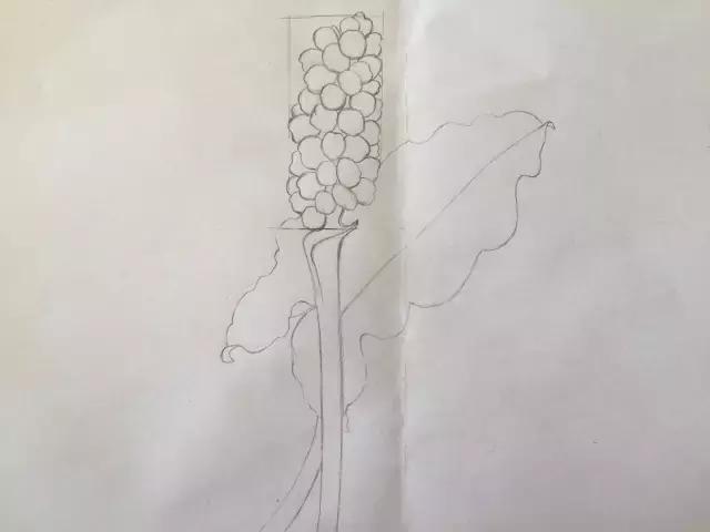 水彩密密麻麻的树叶怎么画,水彩画教程入门叶子