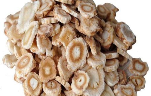 《中国药典》收载，带“参”字中药的药性与功能主治总览