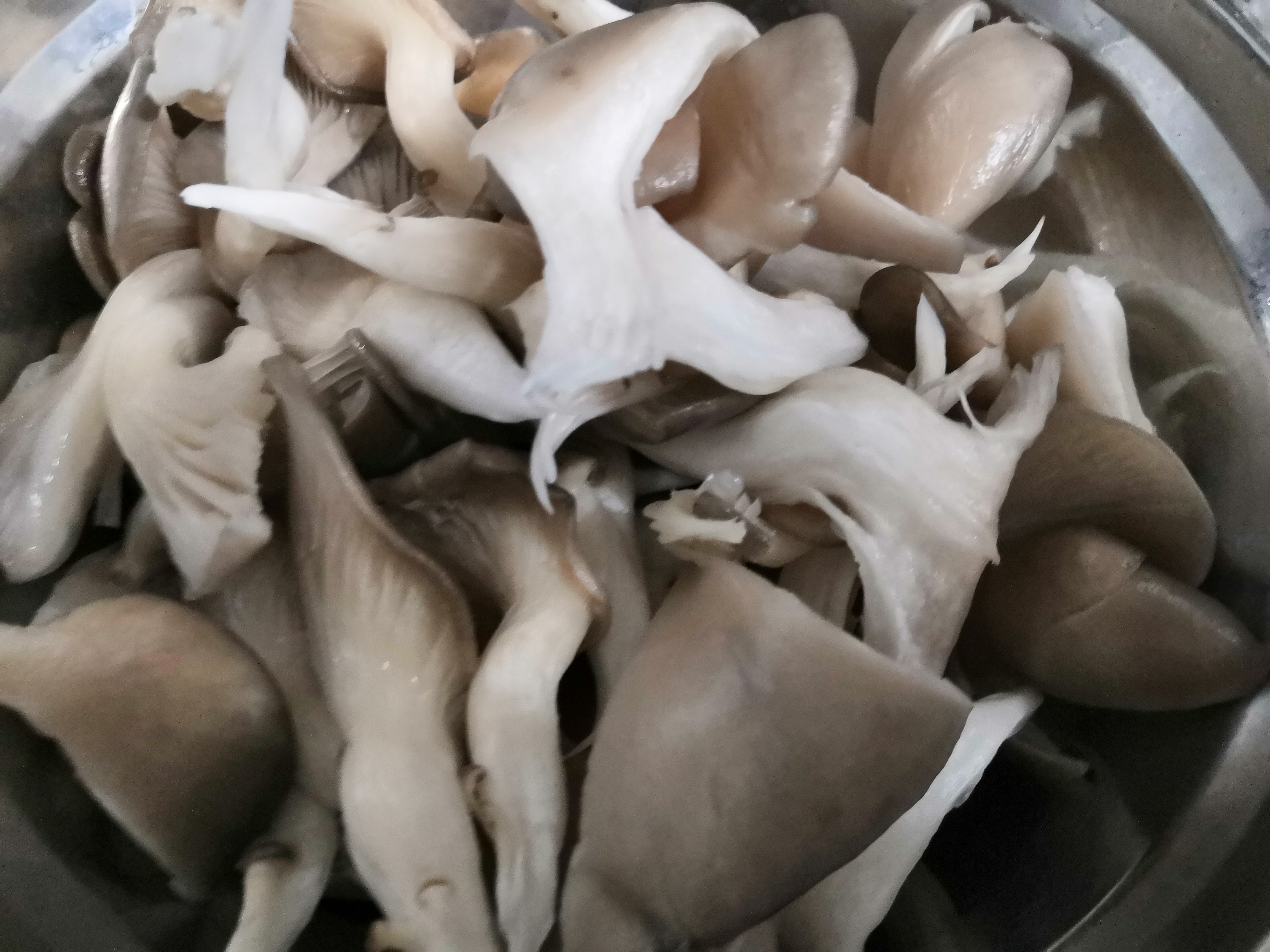 炸出来的蘑菇太油,炸过的蘑菇软了