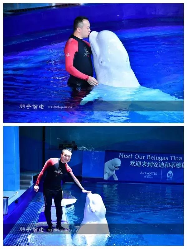 三亚亚特兰蒂斯水世界游玩路线,三亚亚特兰蒂斯水上乐园游玩项目