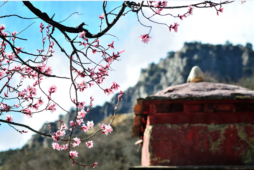 春天去哪里呢歌词,春天去哪里啊歌曲陕西