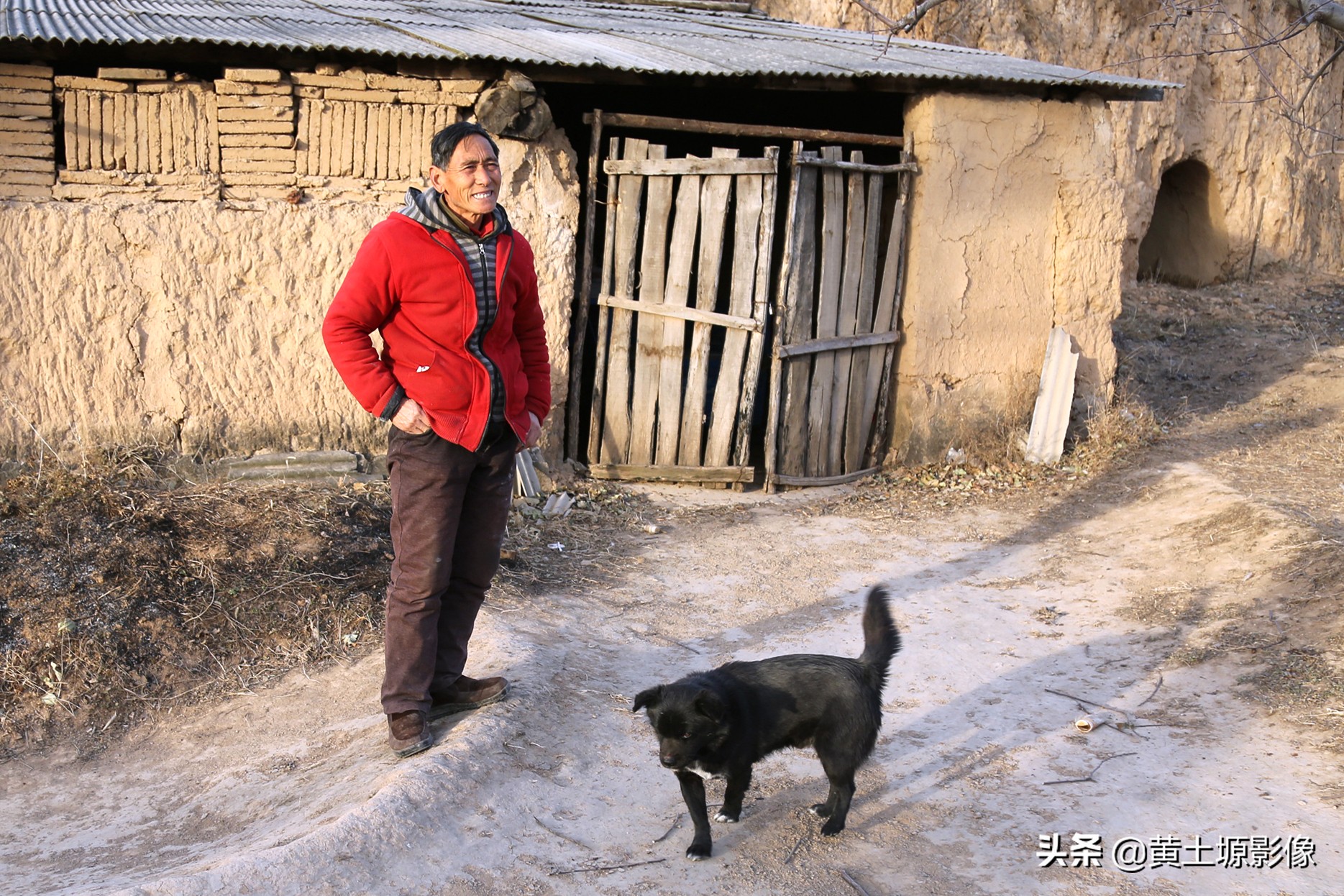 大叔在山上养小型凶猛土狗看家,农村大叔养十几条狗
