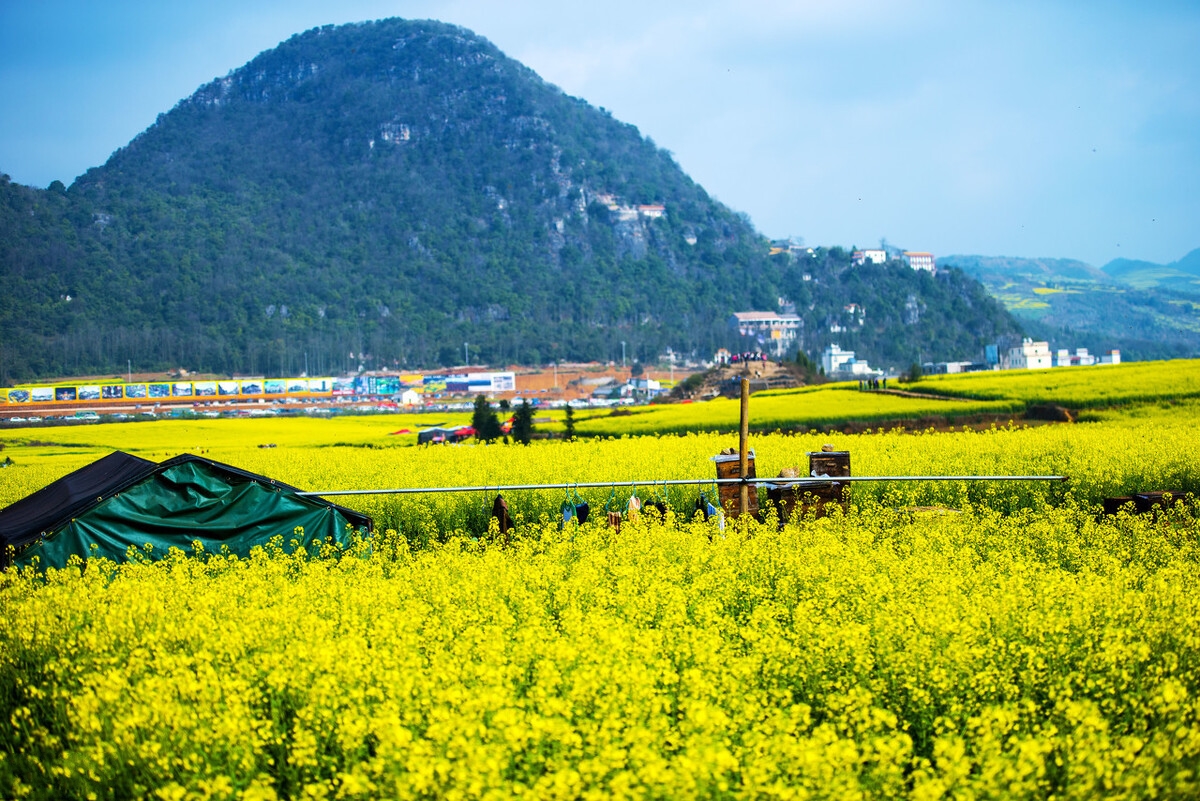 春季自驾游3-4天最佳路线,这才是春天最美的15个地方