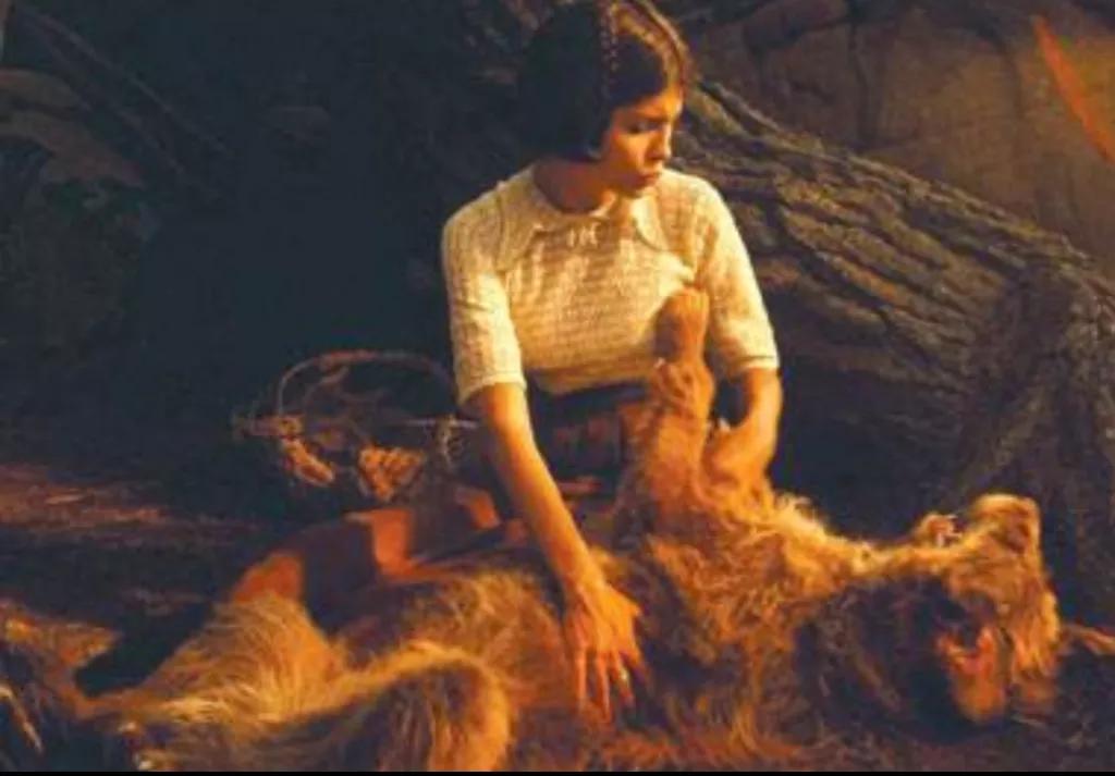 农村创业失败的生意怎么做,在农村十万元怎样创业最稳定