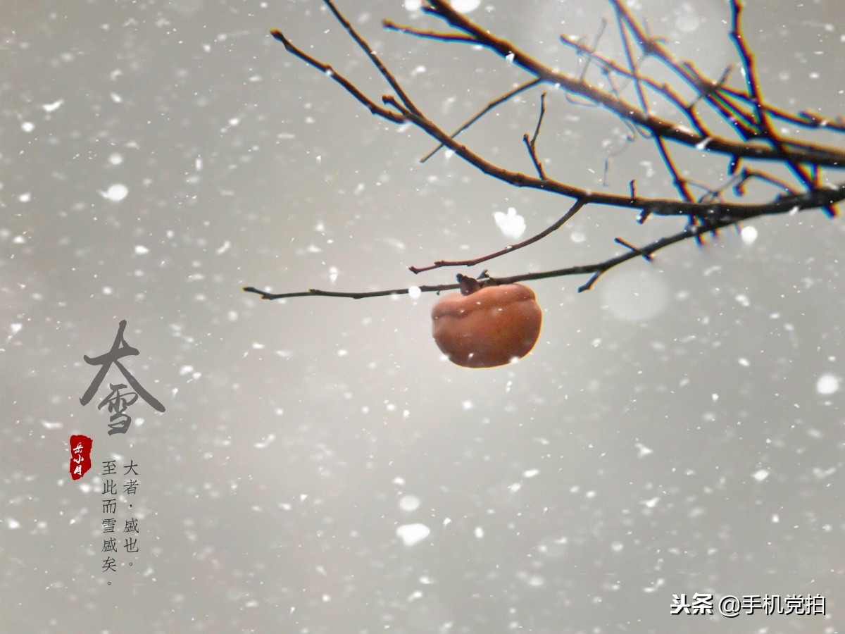下雪天手机怎么拍慢动作雪景,手机下雪拍雪景专业模式